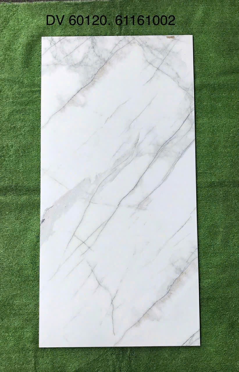 Gạch ốp lát 60x120cm - 61161002