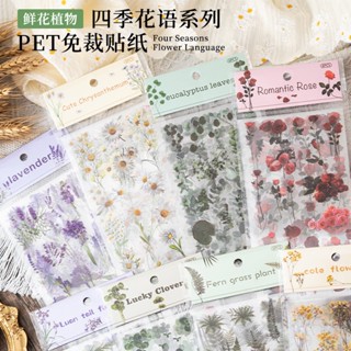 Set 6 Tấm Sticker PET Trong Suốt Hình Hoa Lá / Ngôi Nhà / Lá Trang Trí Sổ Tay DIY