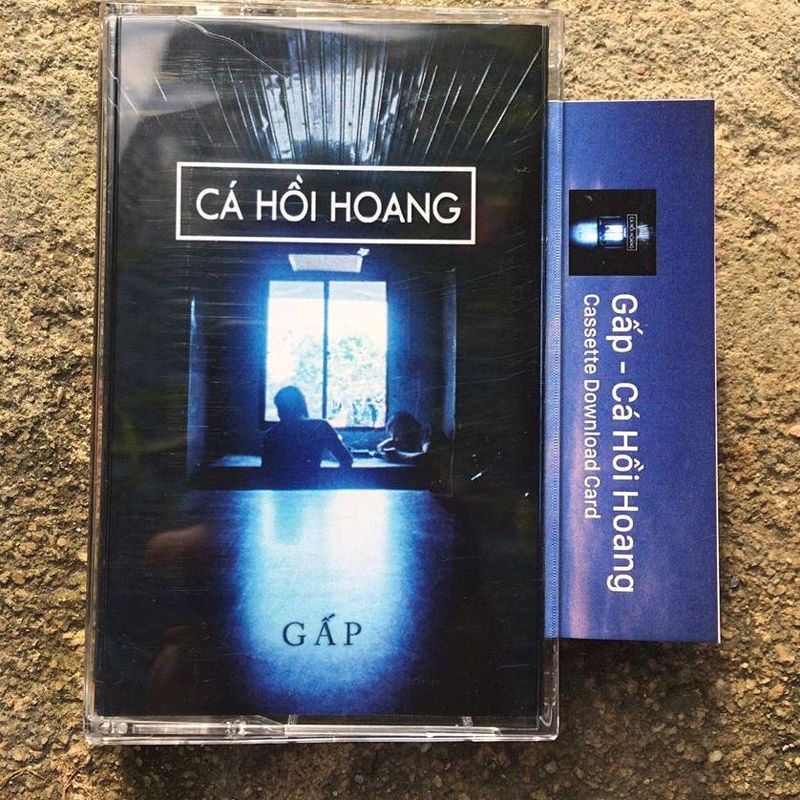 Cassette GẤP - Cá Hồi Hoang