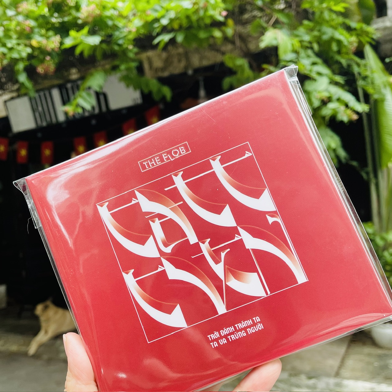 Album TRỜI ĐÁNH TRÁNH TA - TA VA TRÚNG NGƯỜI - The Flob, CHIN