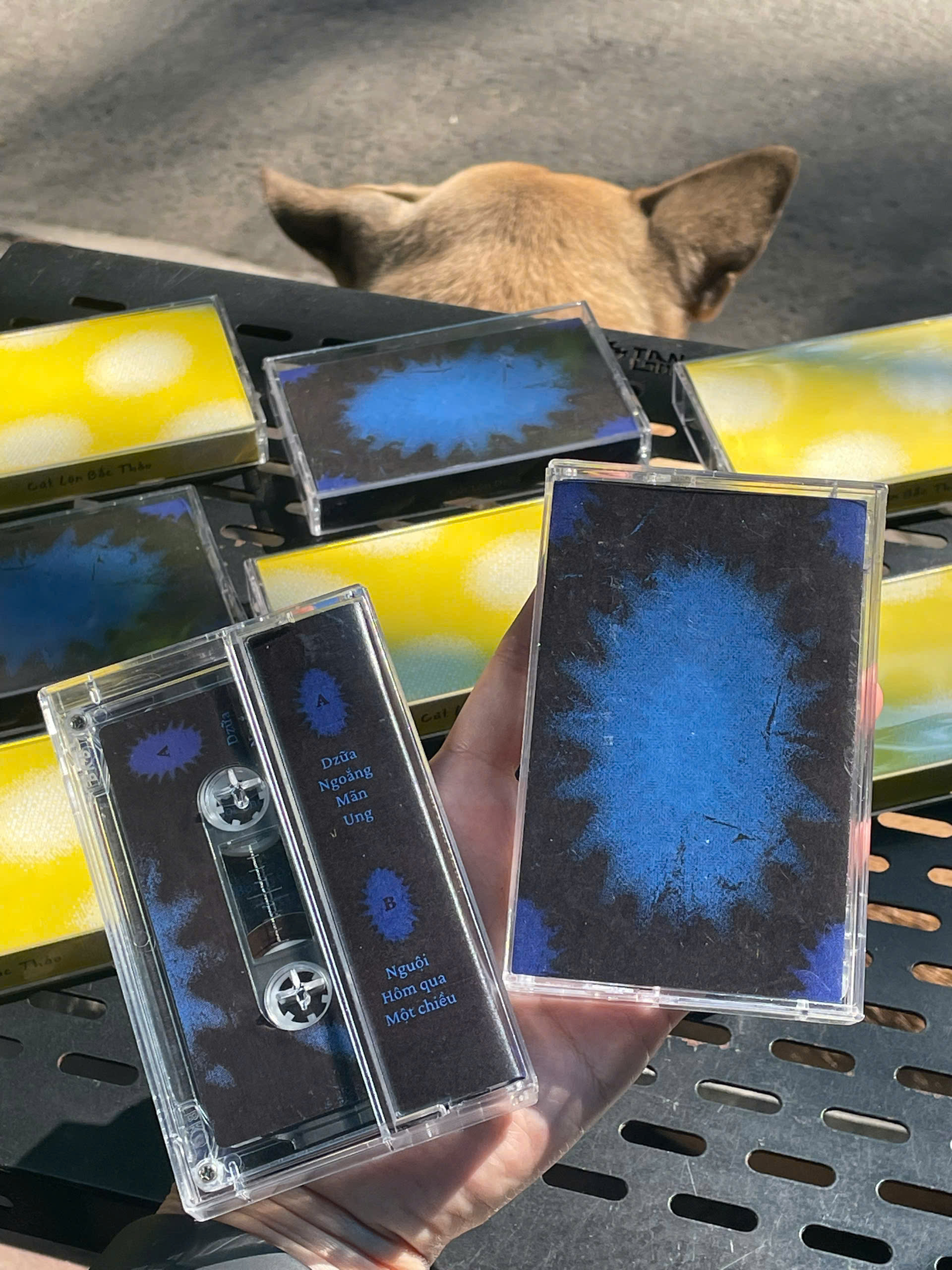 Cassette Dzữa - Cút Lộn