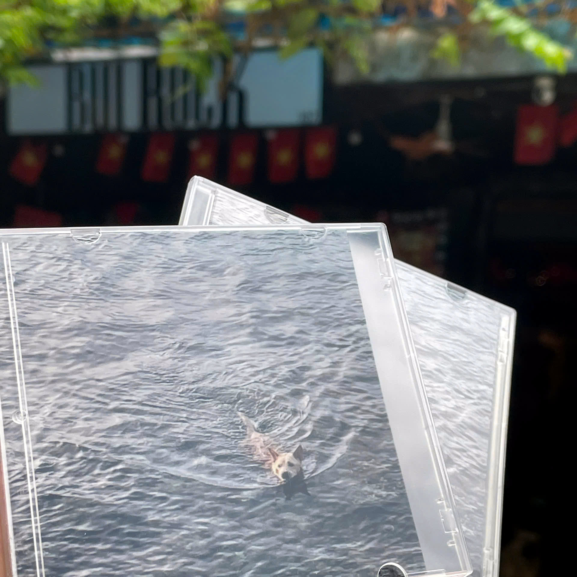 EP “Kỷ niệm chiều hè” 8cm」- Phuc海福