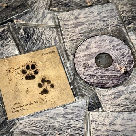 EP “Kỷ niệm chiều hè” 8cm」- Phuc海福