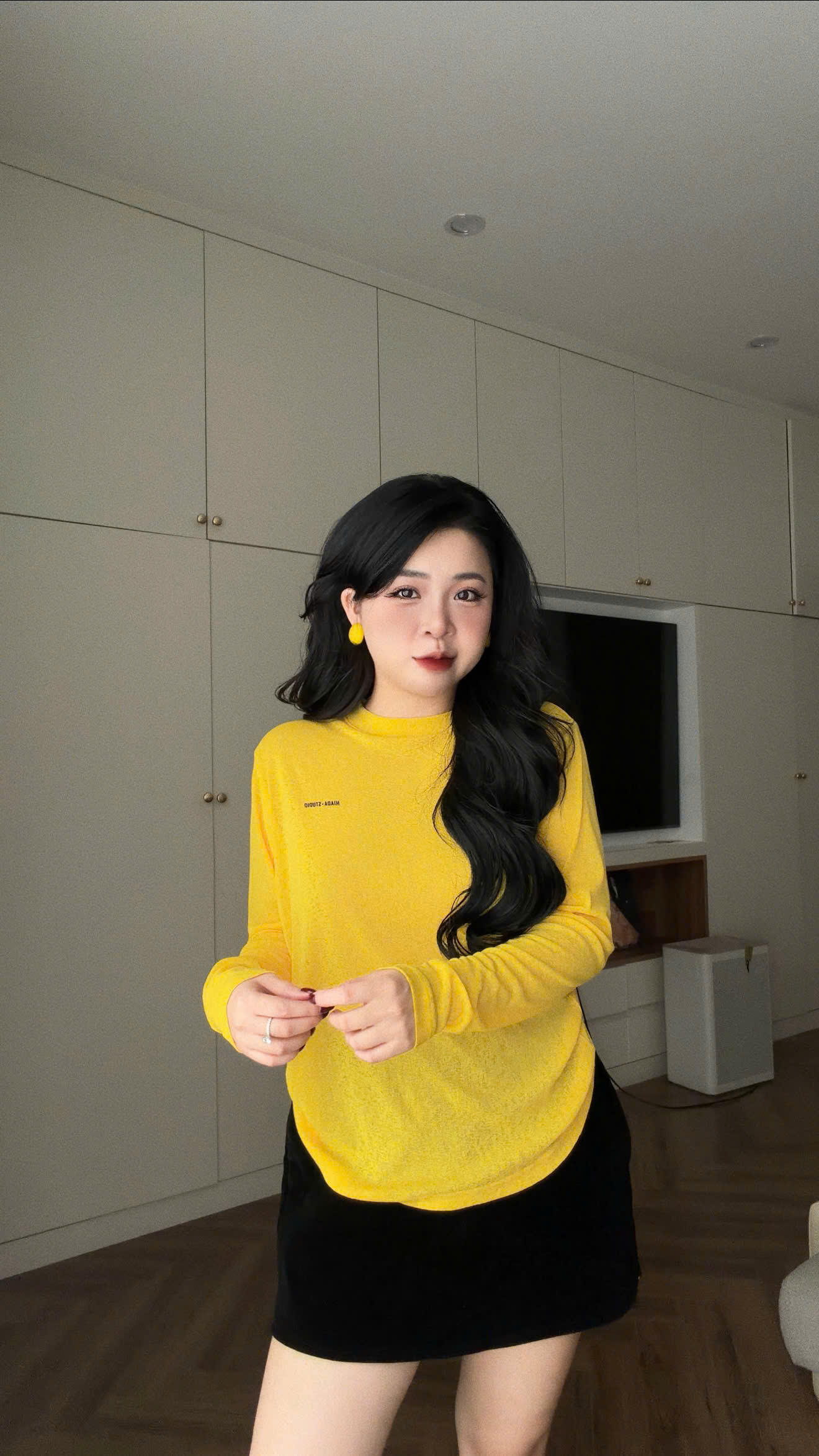 Áo Thun Dài Tay Nữ Form Babytee Chất Liệu Thun Sương HIADA 31