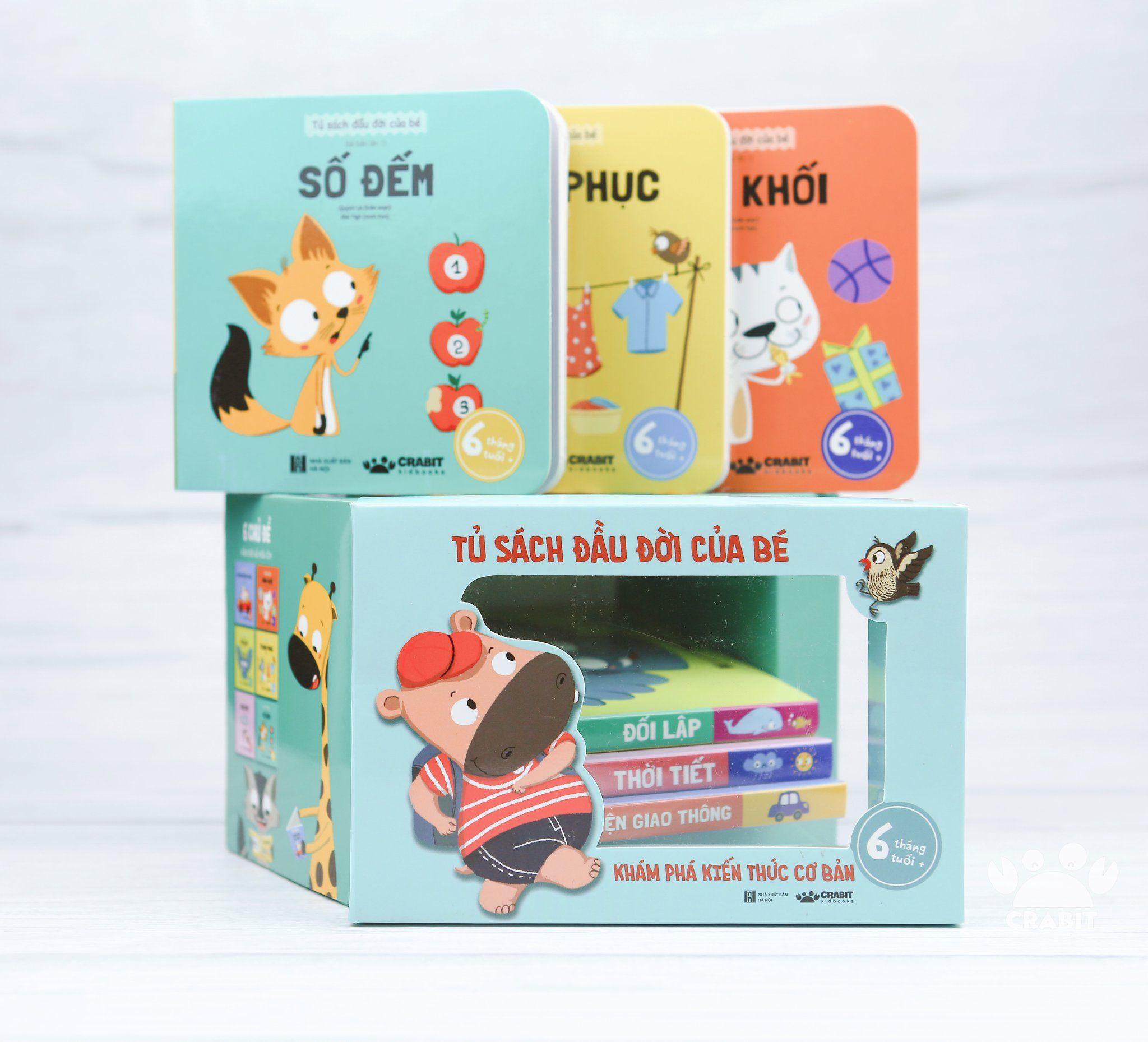 Bộ Tủ sách đầu đời của bé - Khám phá kiến thức cơ bản - 6 cuốn - 6M+