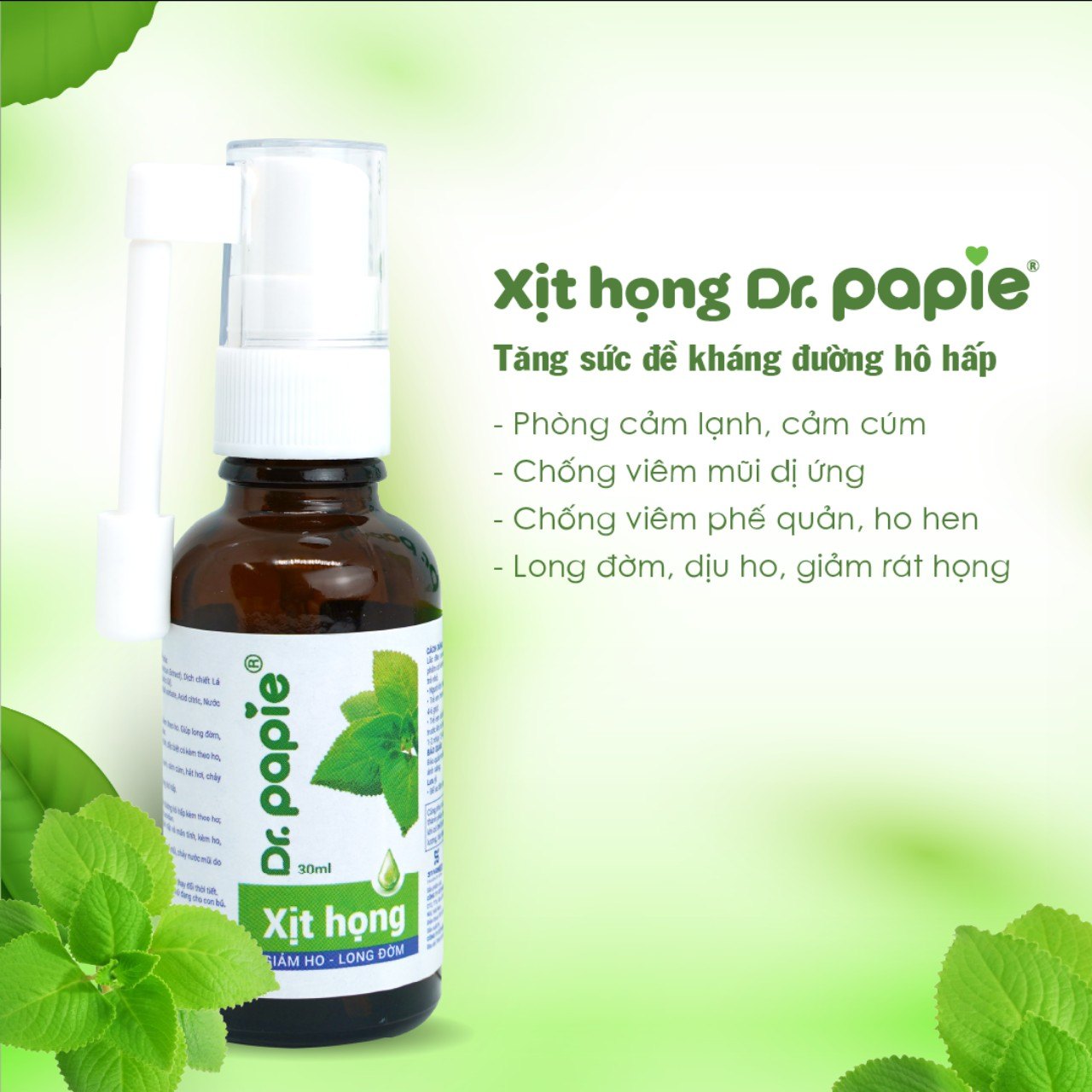 Xịt họng dịch chiết húng chanh Dr Papie