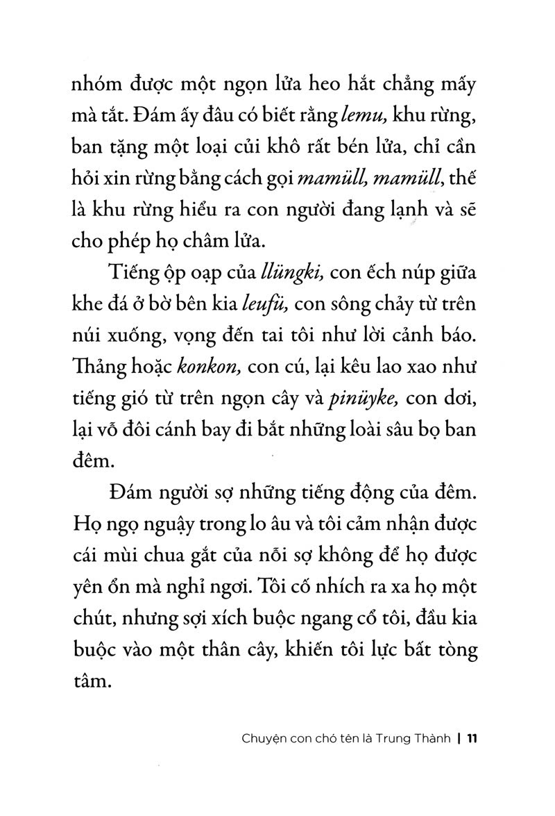 Sách Chuyện con chó tên là trung thành