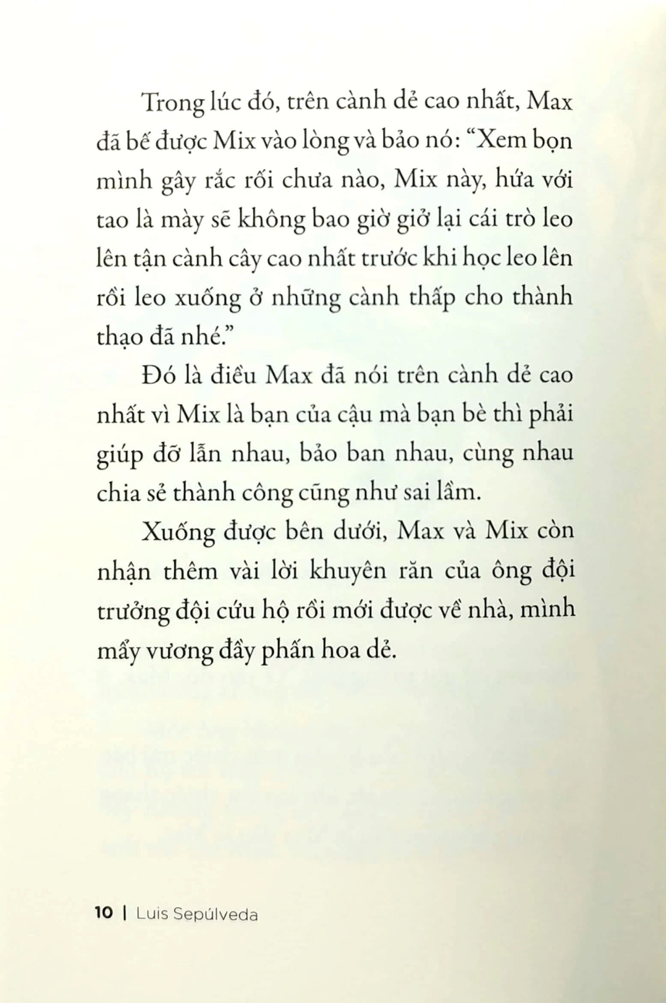 Sách Chuyện Con Mèo Và Con Chuột Bạn Thân Của Nó