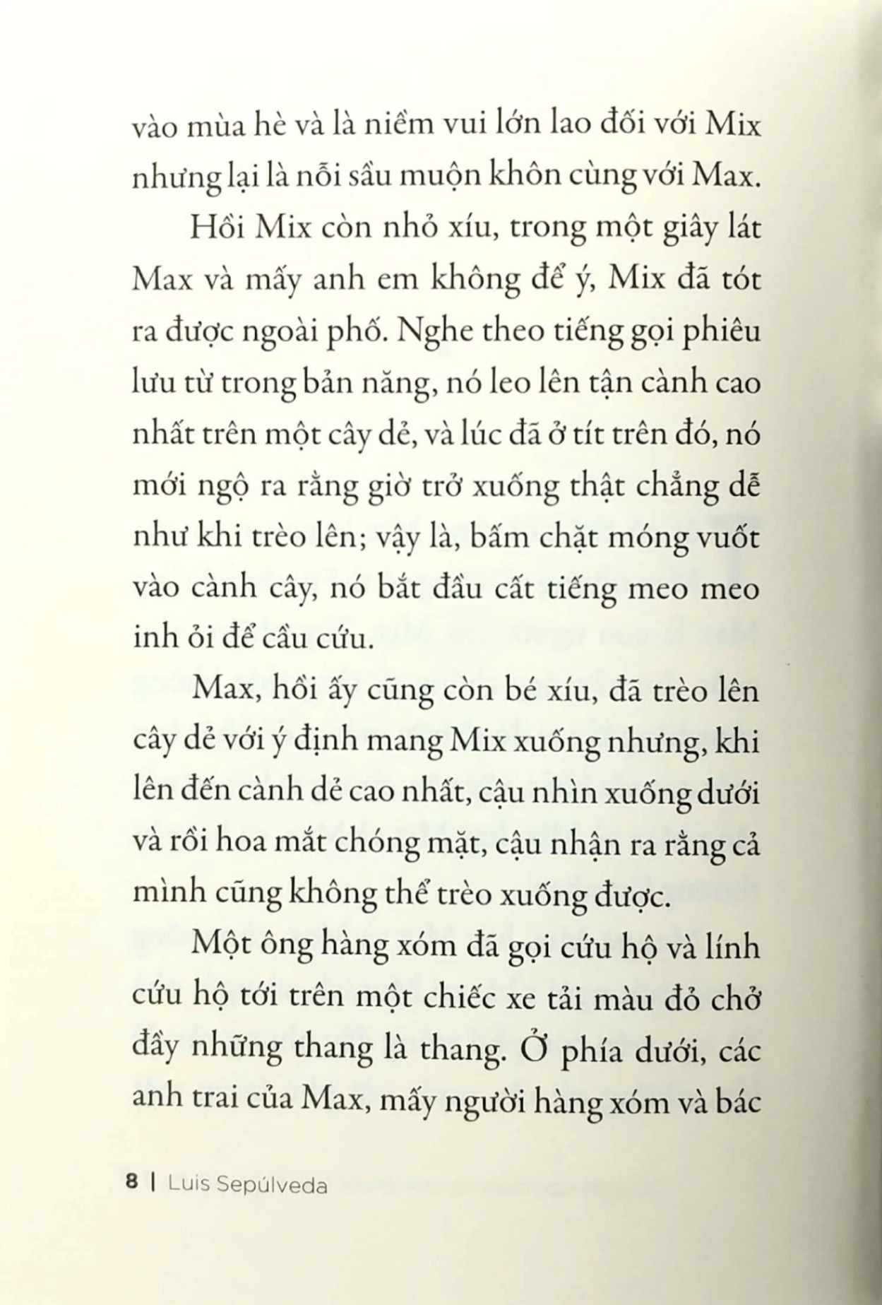 Sách Chuyện Con Mèo Và Con Chuột Bạn Thân Của Nó