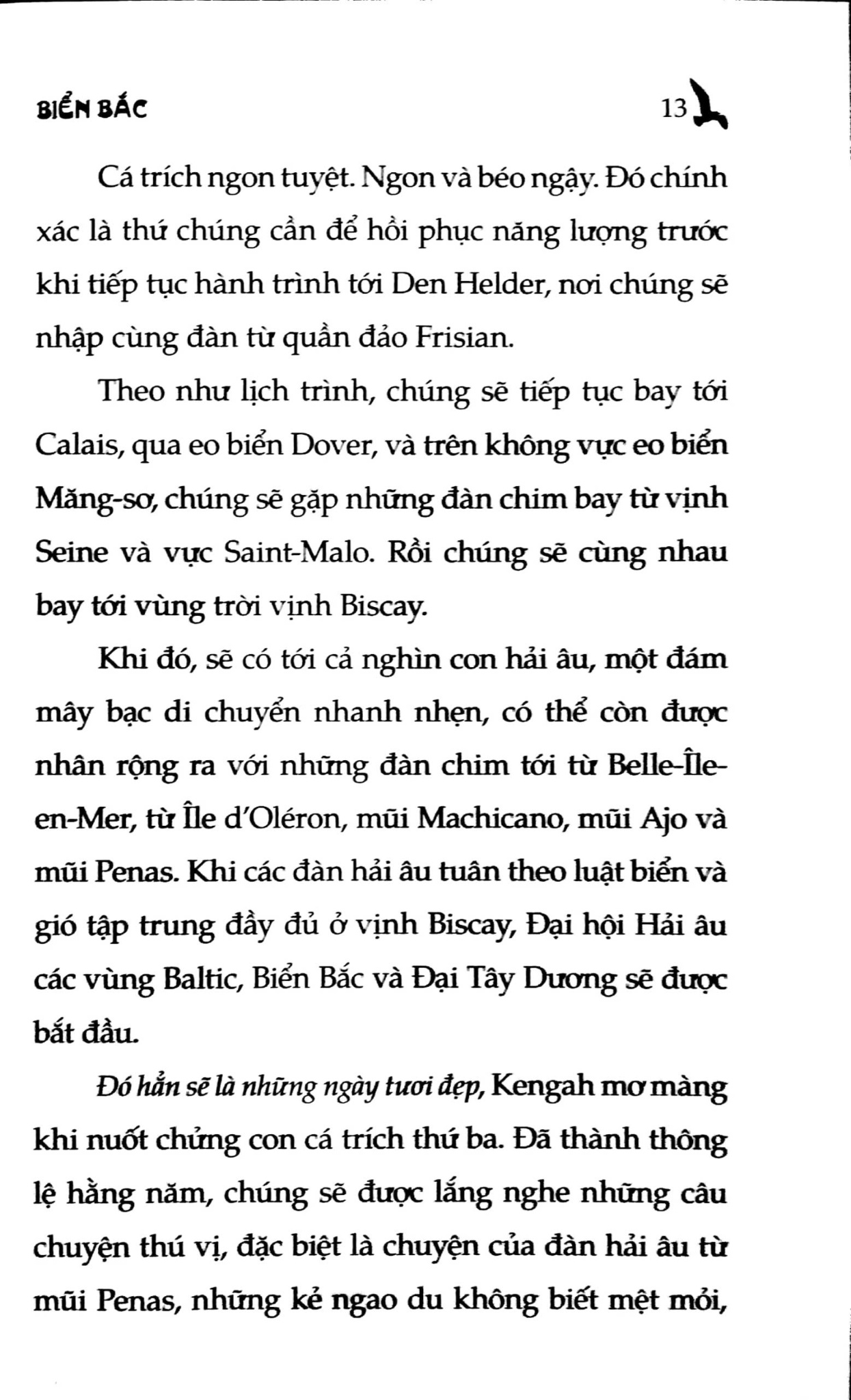 Sách Chuyện Con Mèo Dạy Hải Âu Bay