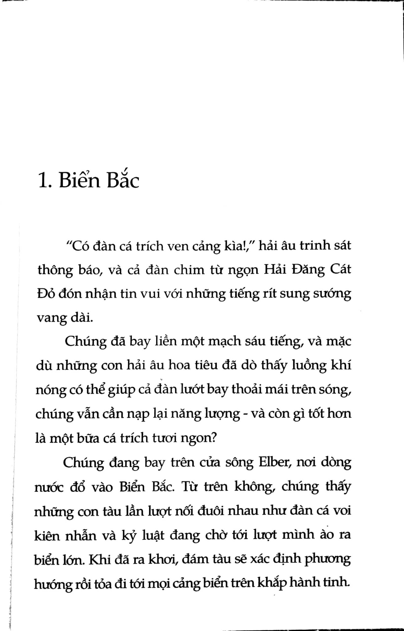 Sách Chuyện Con Mèo Dạy Hải Âu Bay