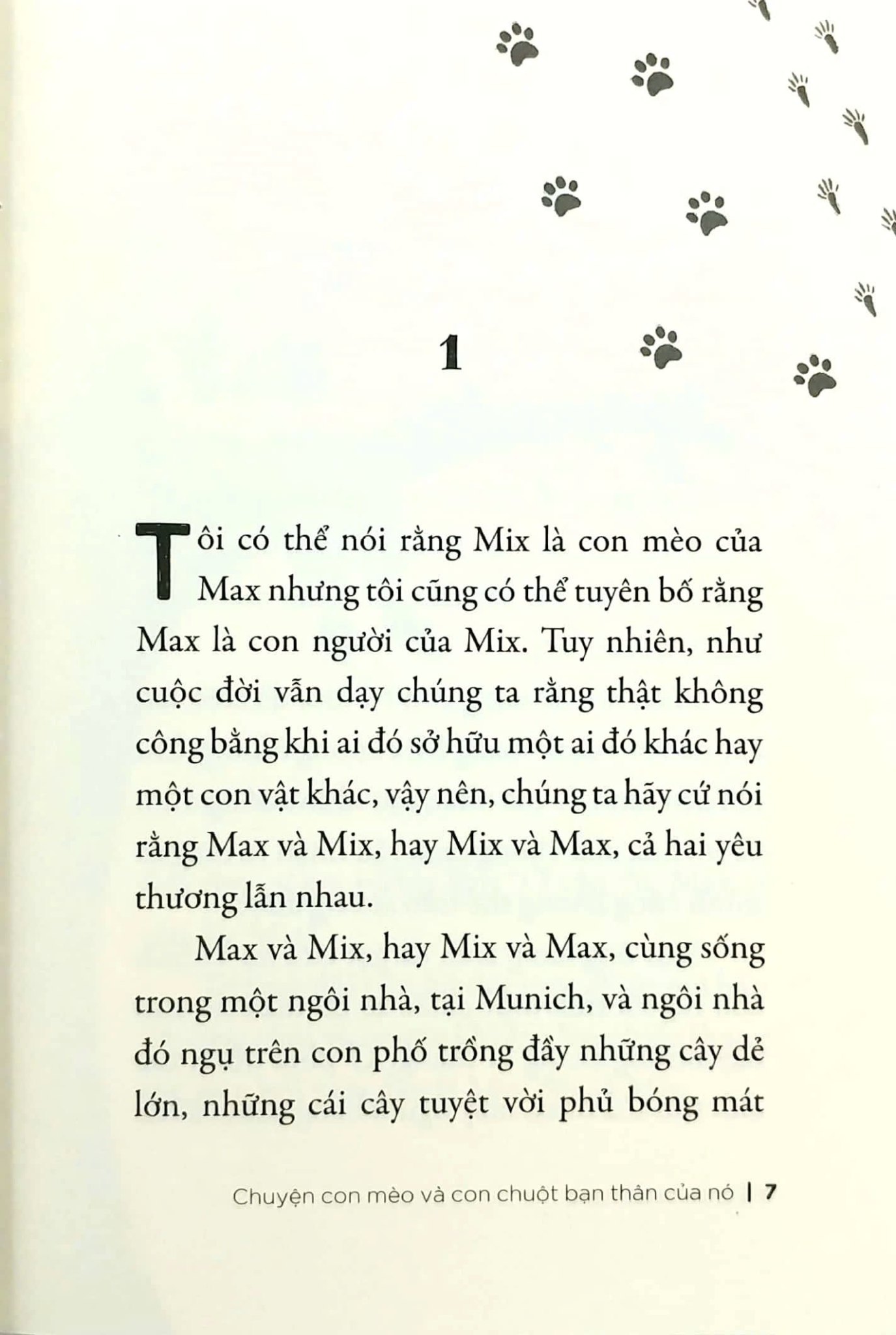 Sách Chuyện Con Mèo Và Con Chuột Bạn Thân Của Nó