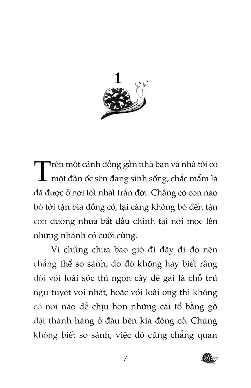 Sách Chuyện Con Ốc Sên Muốn Biết Tại Sao Nó Chậm Chạp