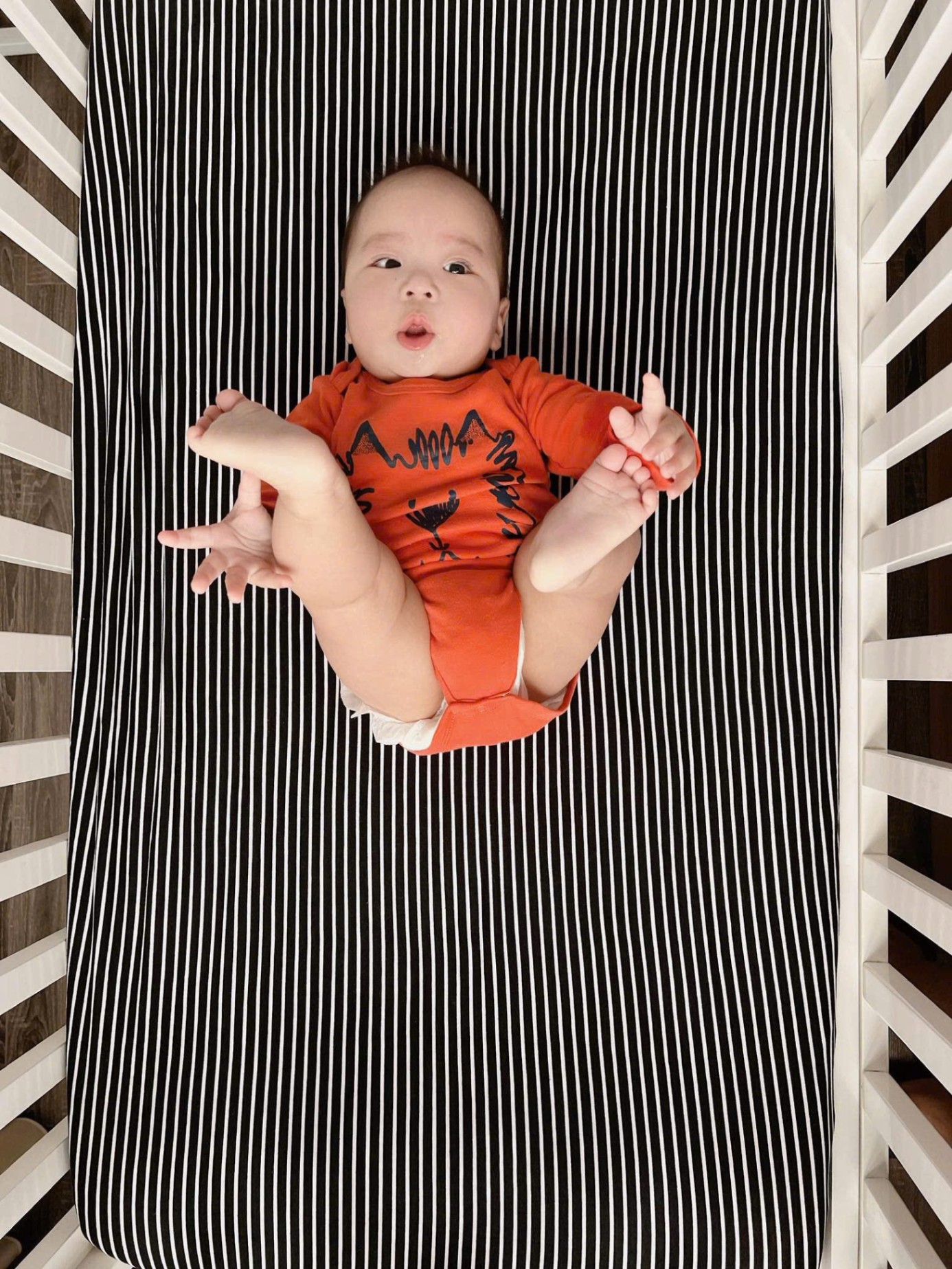 Ga cũi Chũn Nest - Mềm mịn, co giãn, thấm hút tốt cho bé yêu - 100% Chính Hãng Chũn Cocoon
