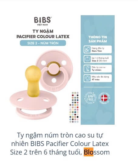 Ti giả BIBS Colour Tròn Cao Su Thường/ Phản Quang