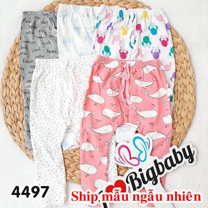 QUẦN DÀI XH RANDOM BG 4497