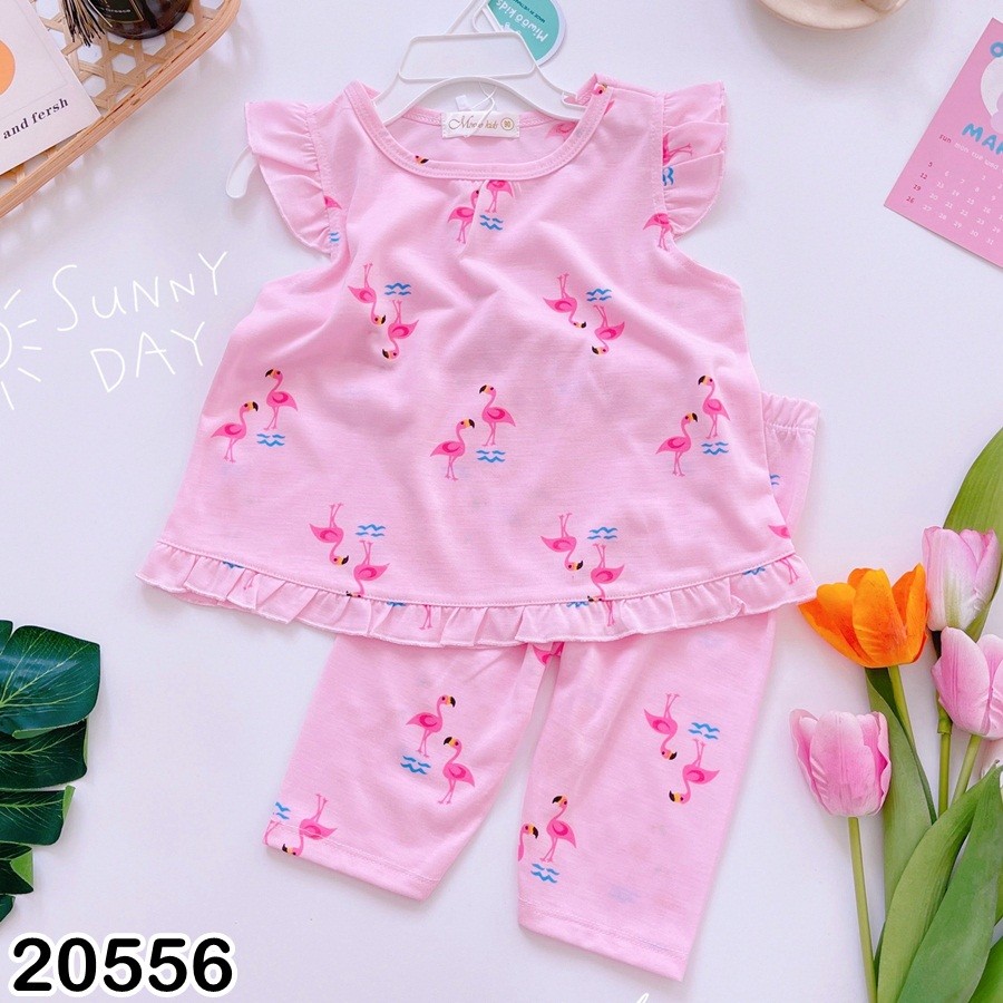 BỘ LỬNG MIWOO 20556