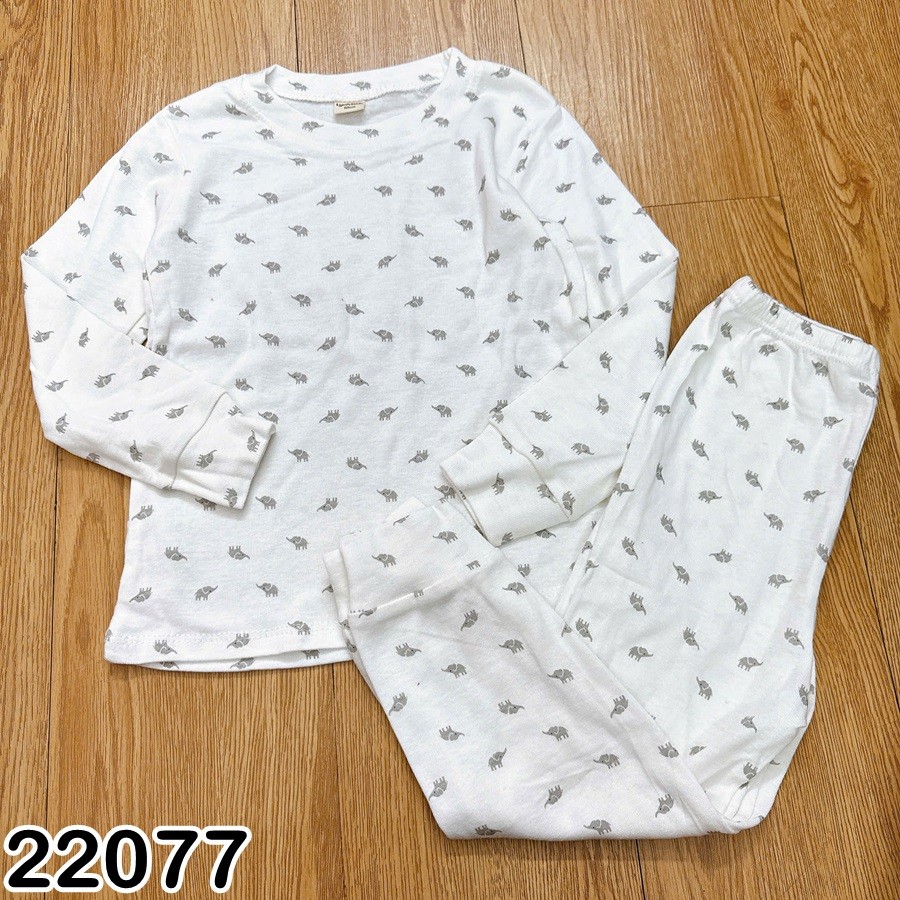 BỘ DÀI THUN XUẤT 22077