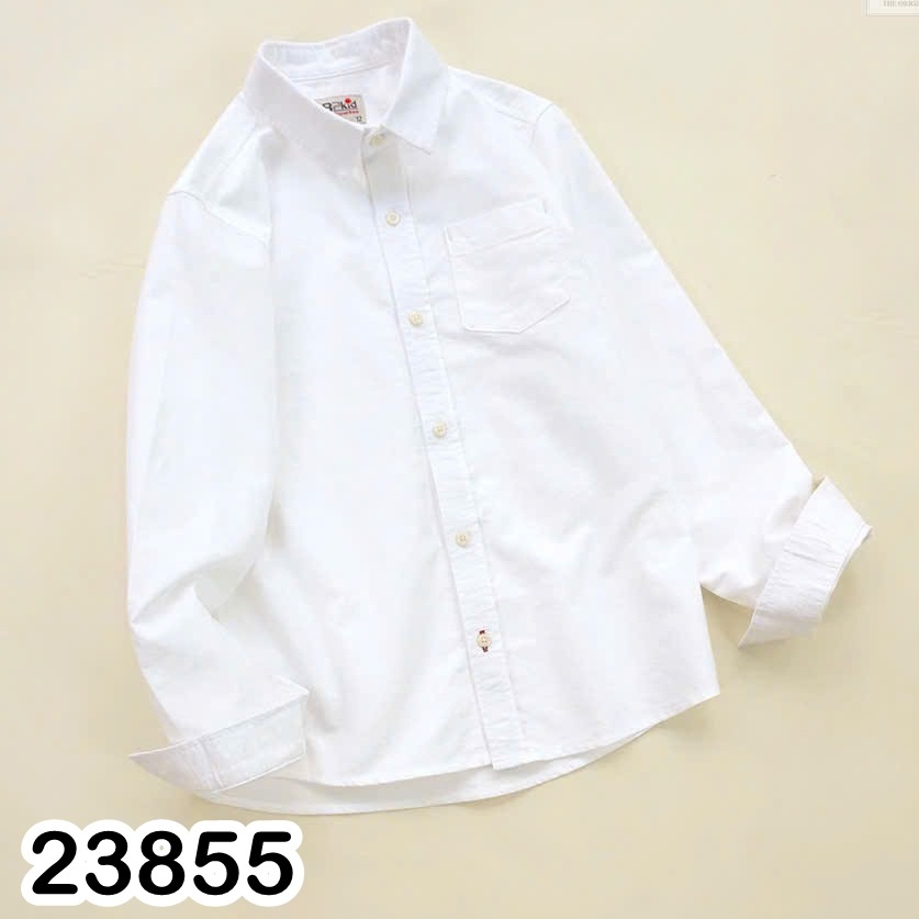 SƠ MI TRẮNG TD 23855
