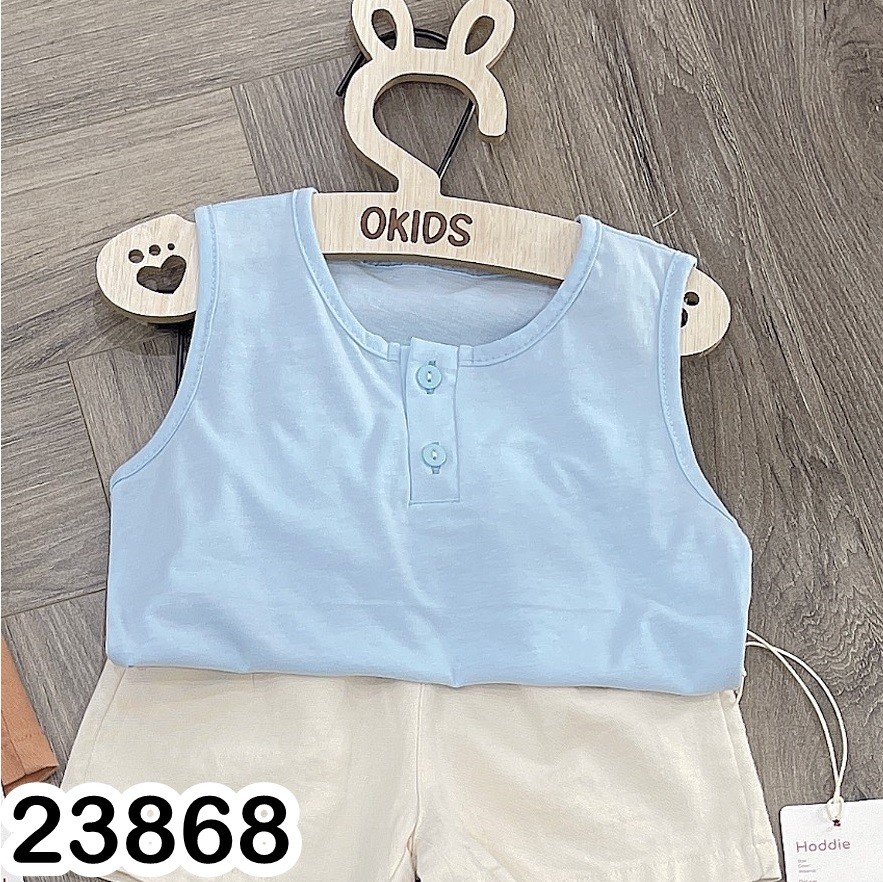 BA LỖ ĐÍNH CÚC 23868