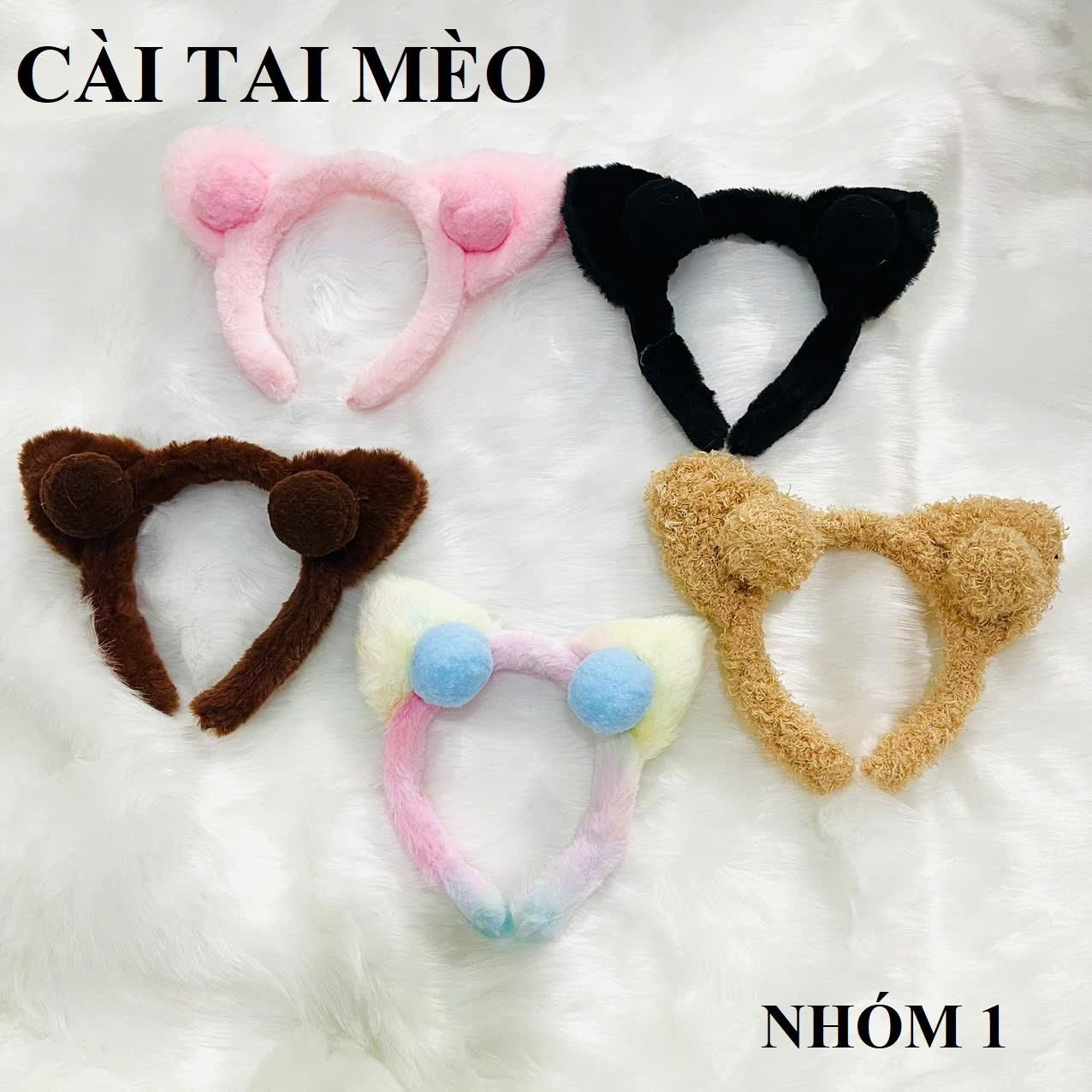 CÀI TAI MÈO