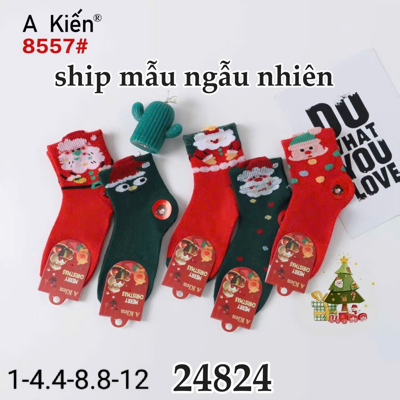VỚ NOEL 24824