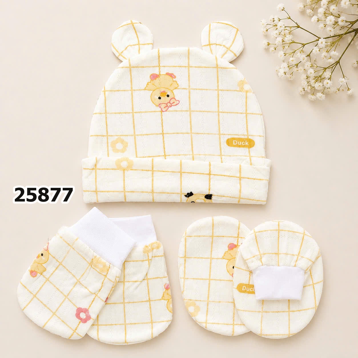 SET NÓN BTBC 25877