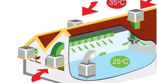 Tìm hiểu về cách làm mát nhà xưởng hệ mở cửa có thể bạn chưa biết