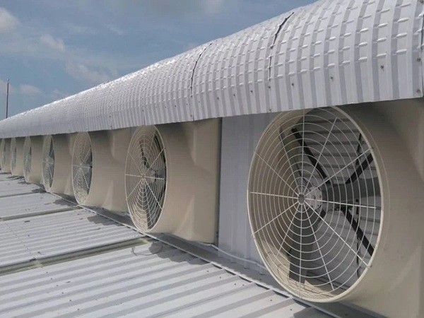 Quy trình làm mát nhà xưởng hiệu quả và tối ưu chi phí