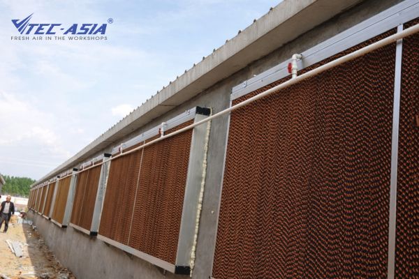 Có nên thay mới tấm làm mát cooling pad? Giải đáp từ chuyên gia
