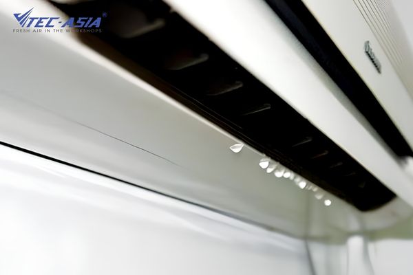 Nước máy lạnh có tưới cây được không? Cách dùng an toàn