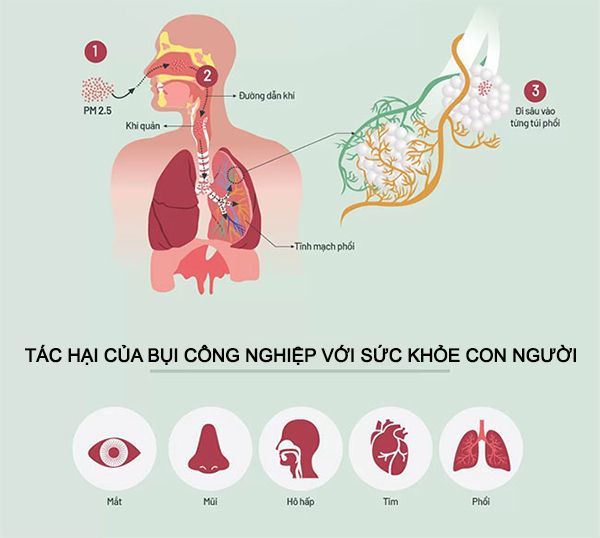 Tìm hiểu về quạt hút bụi công nghiệp