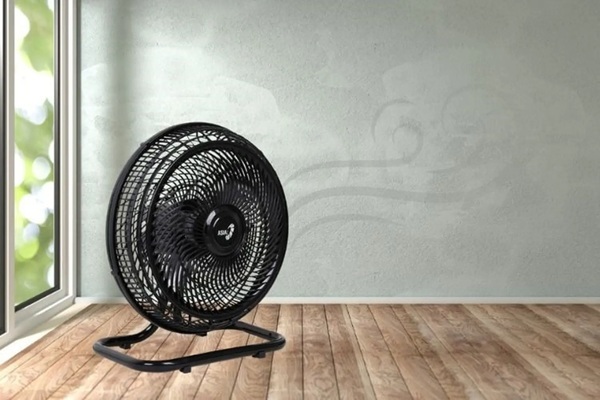 20250824_NnETFfMs.jpg