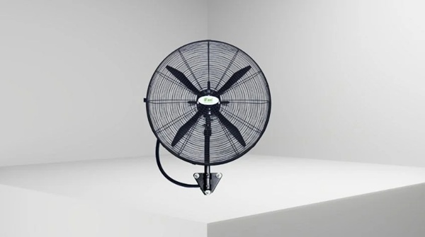 20250824_RV6Dm1li.jpg