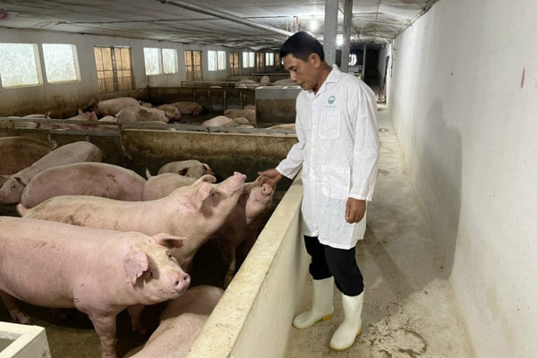 20250928_SKHVNUTi.jpg
