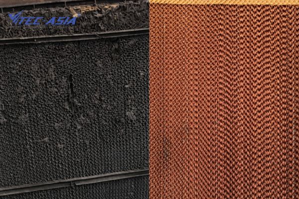Co-nen-thay-moi-tam-lam-mat-cooling-pad-Giai-dap-tu-chuyen-gia-4.jpg