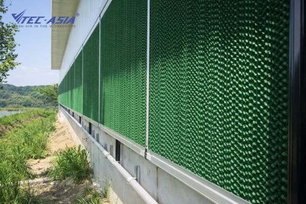 Y-nghia-mau-sac-cooling-pad-va-cach-chon-lua-chuan-ky-thuat-5.jpg