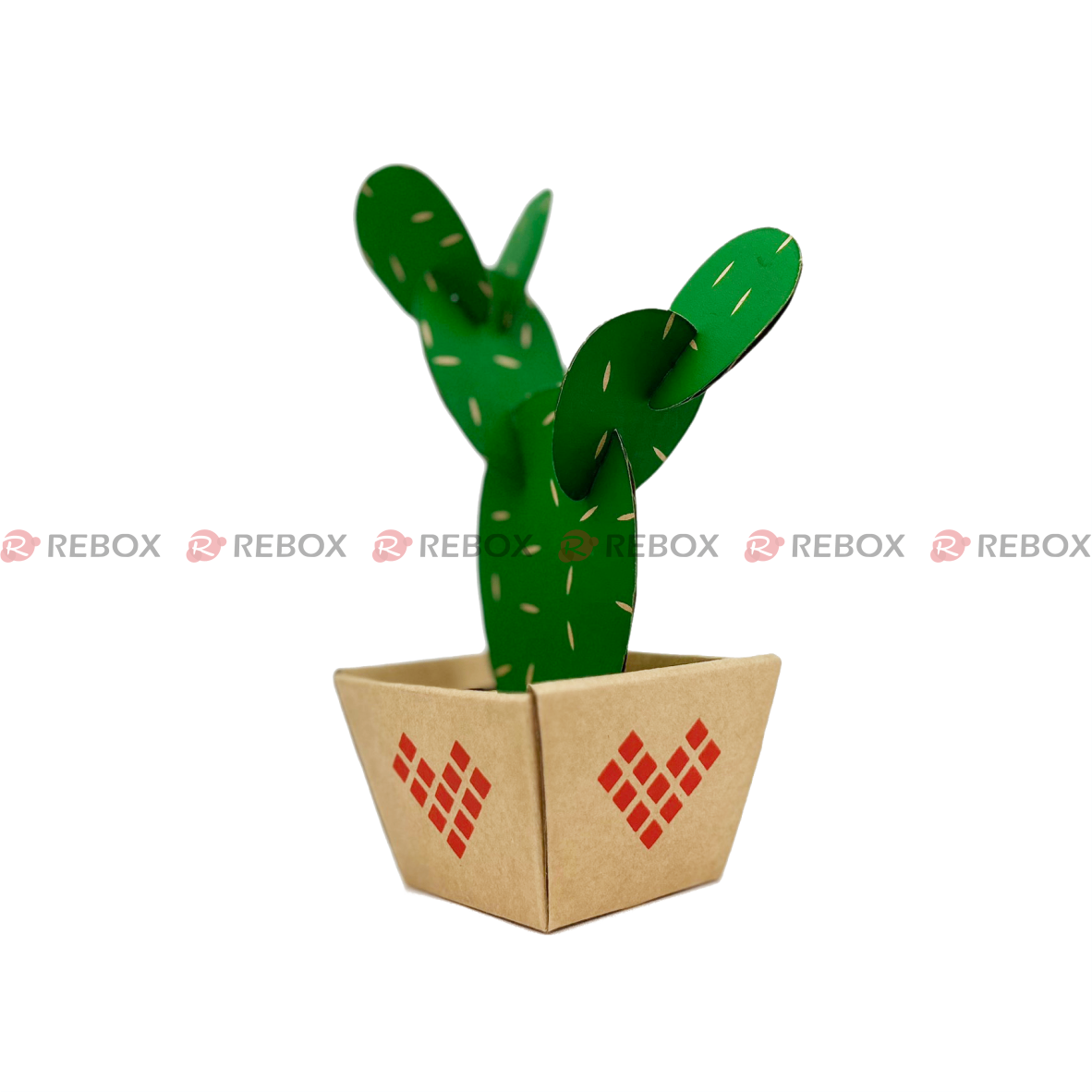 RMFK04C - Cây xương rồng carton - Tai thỏ - 7x10x17 cm