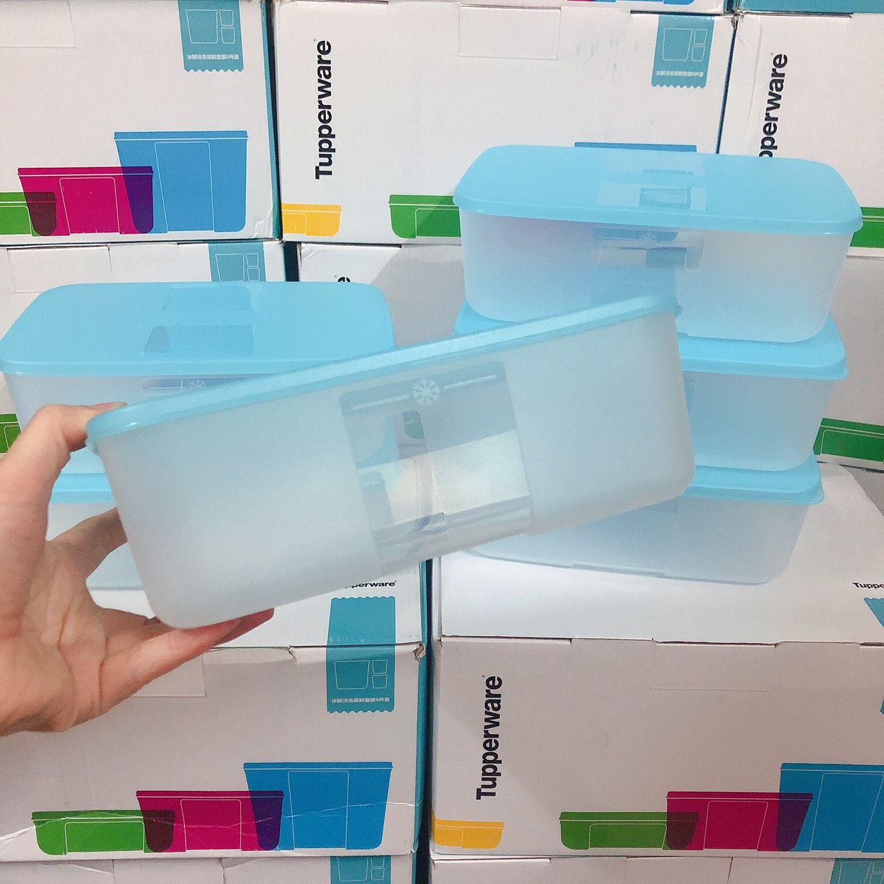 Set 6 hộp trữ đông Tupperware 1.7L