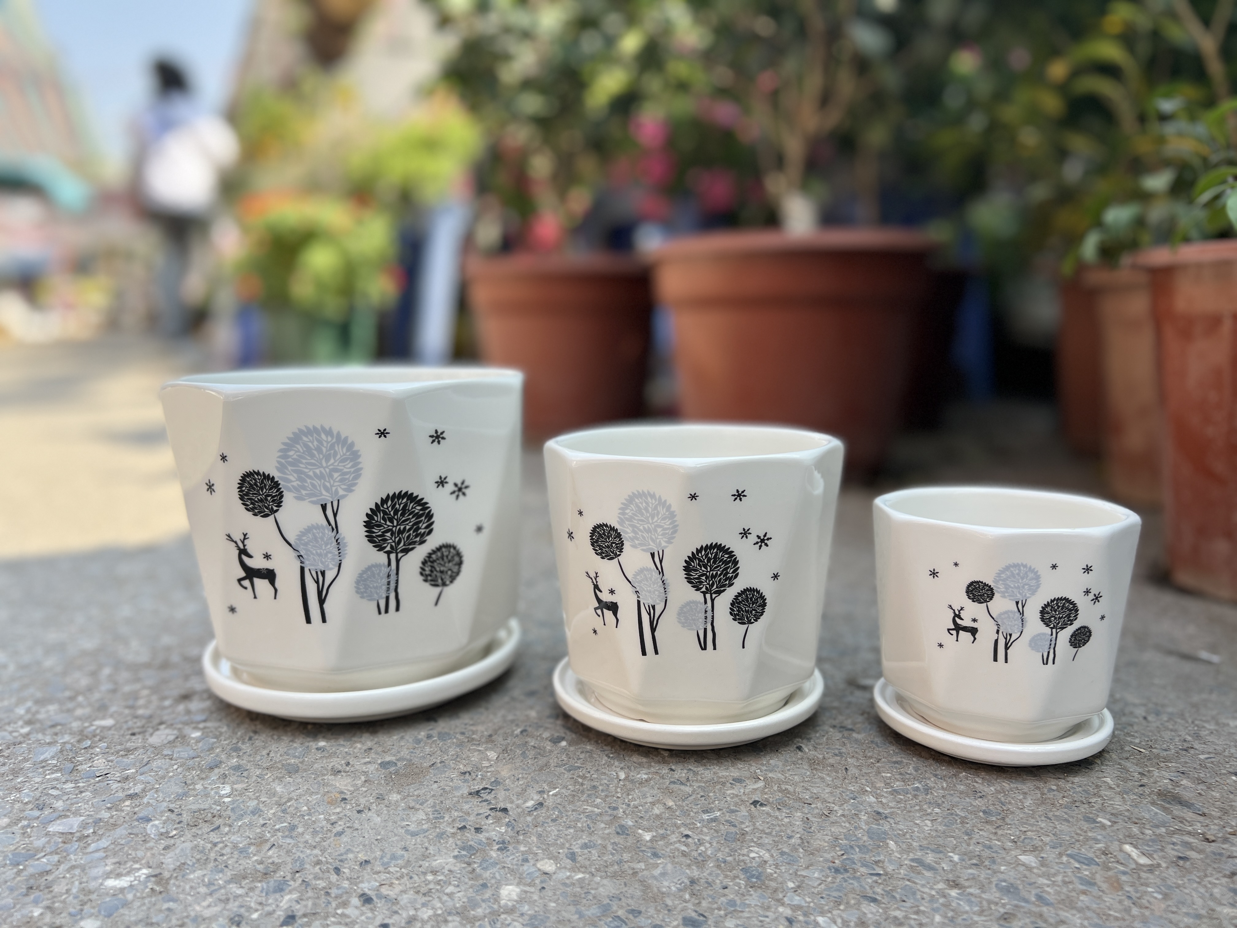 Set 3 chậu hoa sứ - Hình hươu