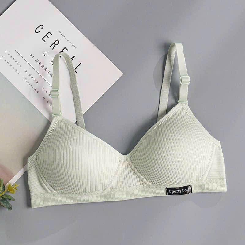 Combo: 03 áo Bra học sinh không gọng - Size 38
