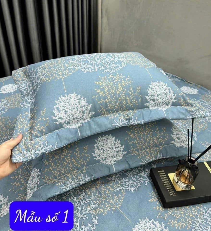 Set 2 vỏ gối cotton 48x68cm