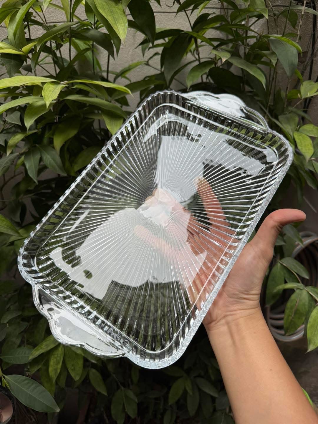 Khay thuỷ tinh để cốc