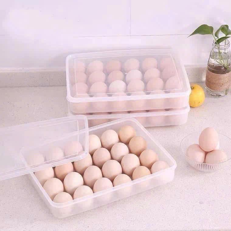 Hộp đựng trứng 24 quả có nắp đậy Việt Nhật