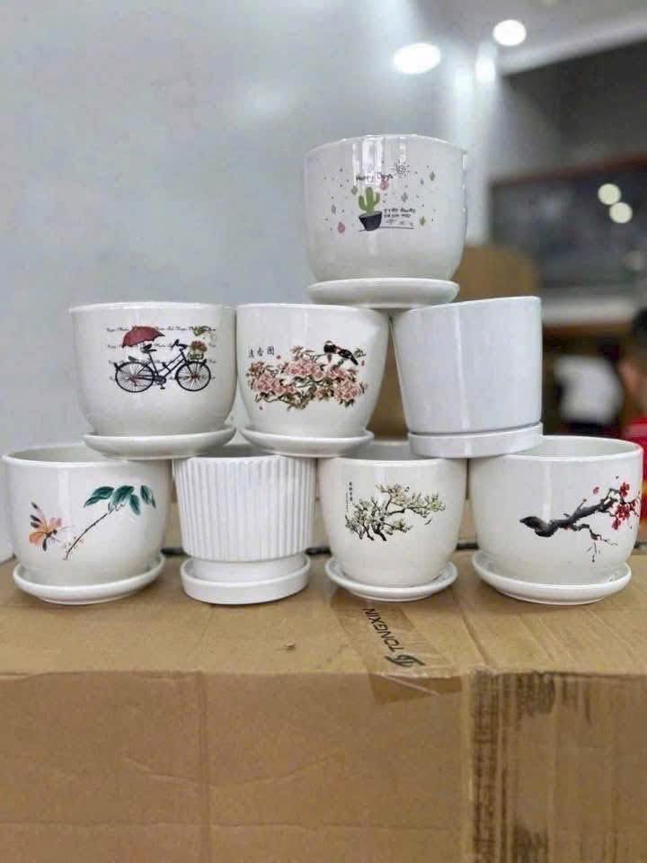 Combo: 02 chậu trồng cây Bonsai mini