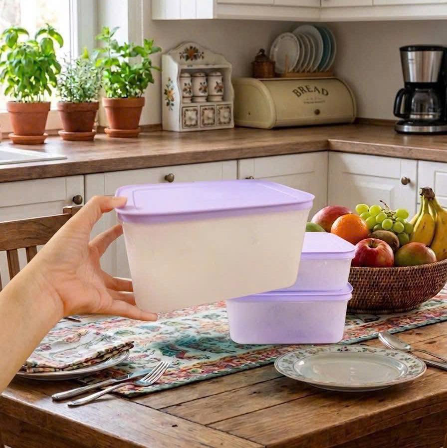 Set 2 hộp Tupperware 2.5L màu tím