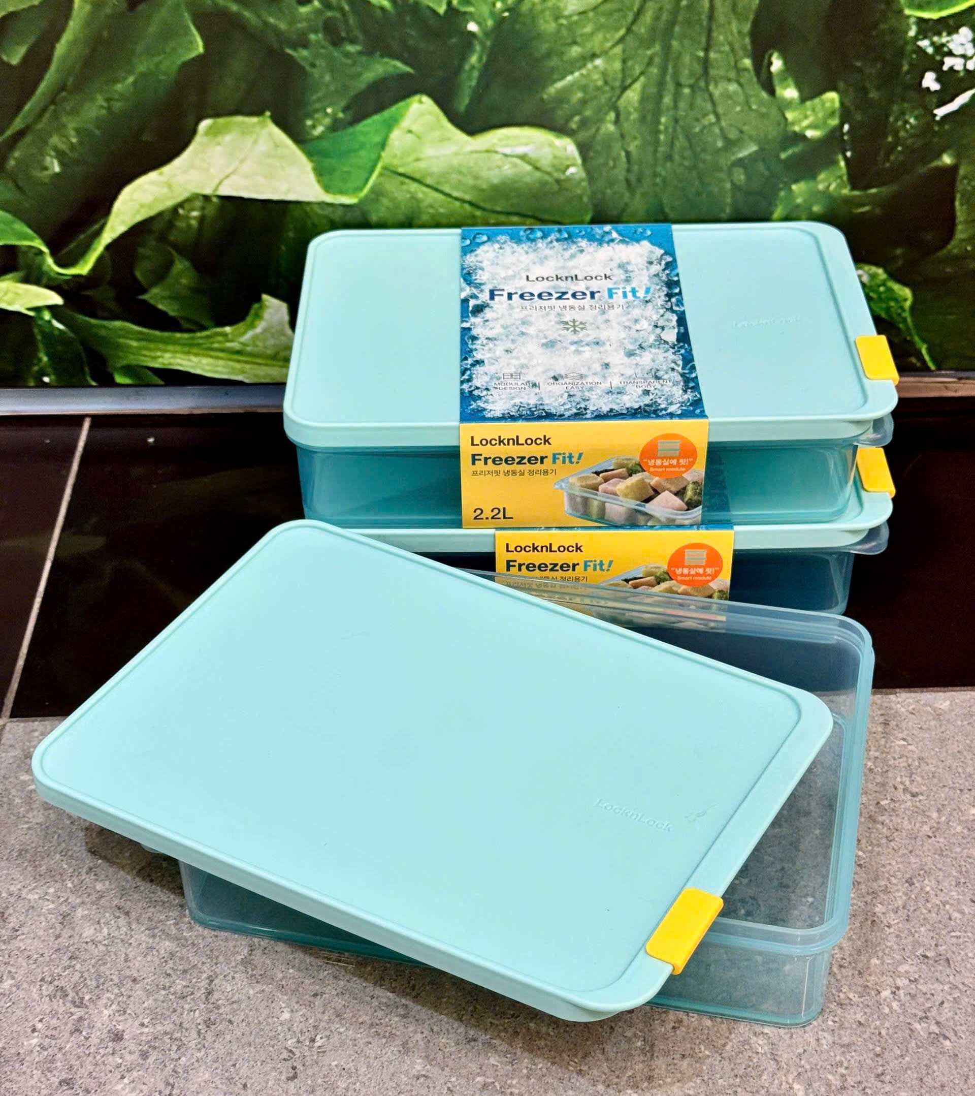 Set 2 hộp trữ đông LocknLock Freezerfit 2200ml (HFL105)