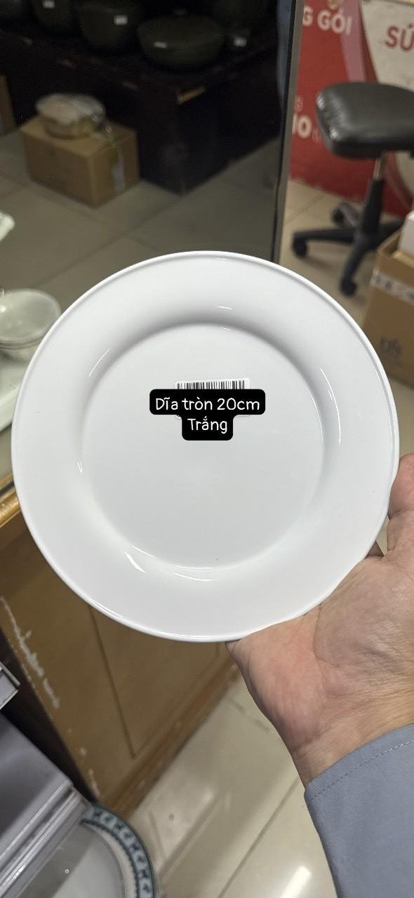 Set 5 đĩa Minh Long size 20cm - loại phẳng