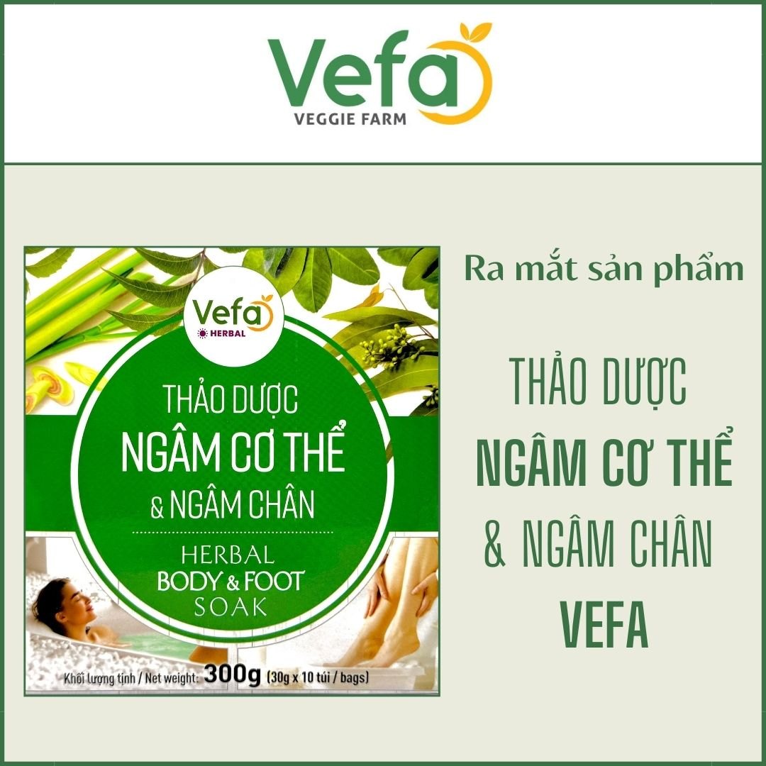 Ra mắt sản phẩm Thảo dược ngâm cơ thể và ngâm chân VEFA