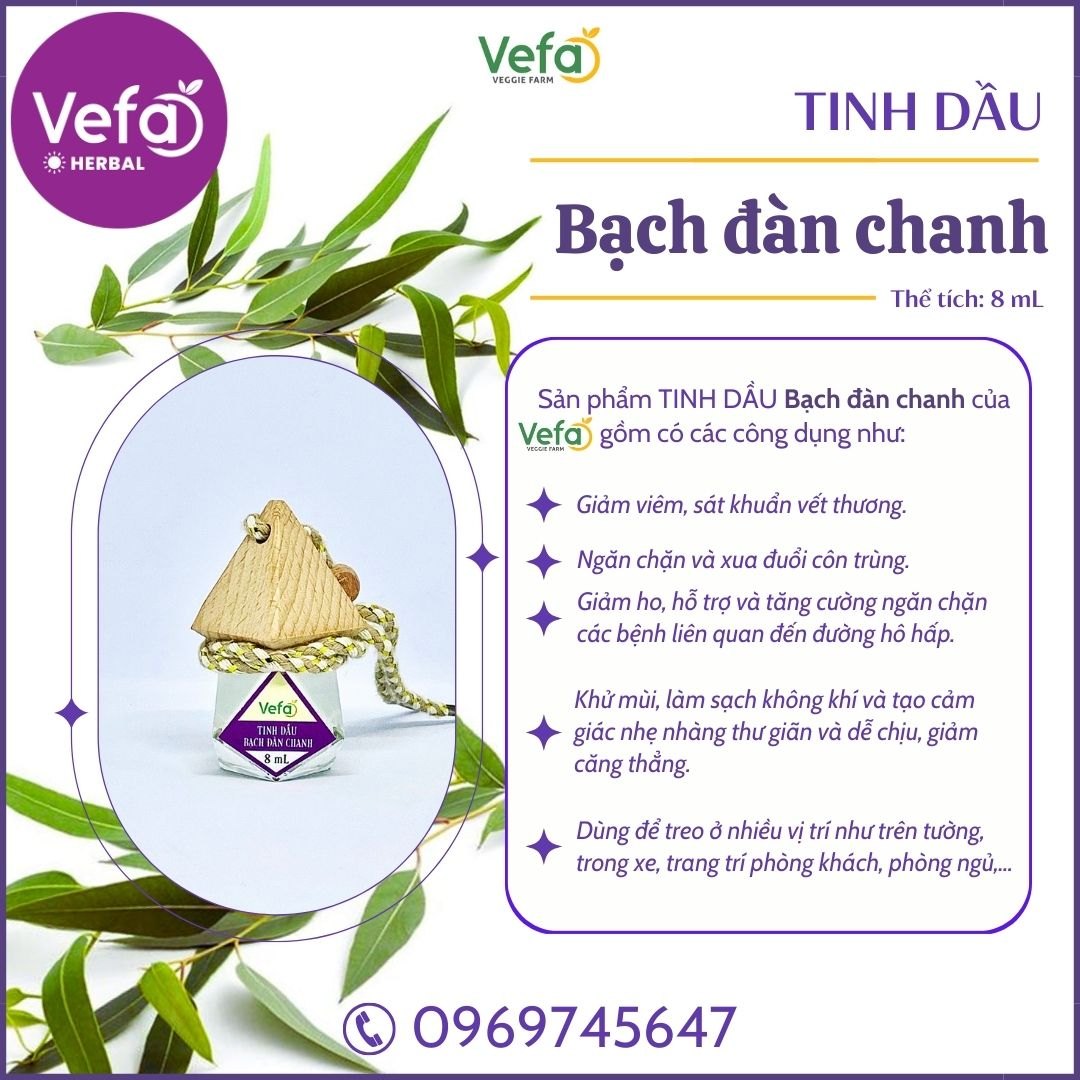 TINH DẦU BẠCH ĐÀN CHANH 8ML